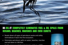 Oily-Gull-asking-for-DE-OIL-IT-791x1024