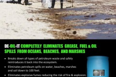 People-cleaning-a-beach-spill-791x1024